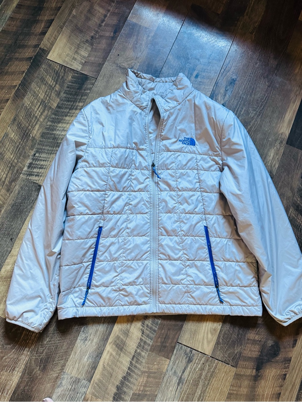The North Face Men's Light Gray Puffer Jacket with Blue Accents